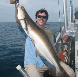 Ling cobia sharks and snapper Corpus Christi Texas