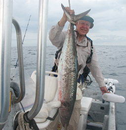 Butterfly Kingfish