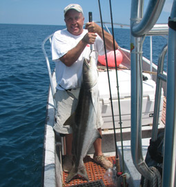 Shark Fishing guide for the beach in South Texas