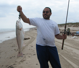 Redfish trout and tarpon on Padre Island National Seashore