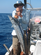 Wahoo from a Panga Offshore Fishing Gulf of Mexico
