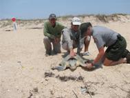 Corpus Christi Trout Guide Billy Sandifer