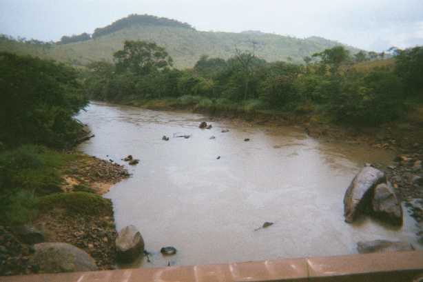 Venezuela Flora and Fauna